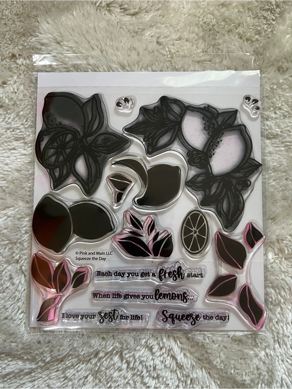 Pink & Main Squeeze the Day Stamp and Die Cuts Set - Picture 4 of 4